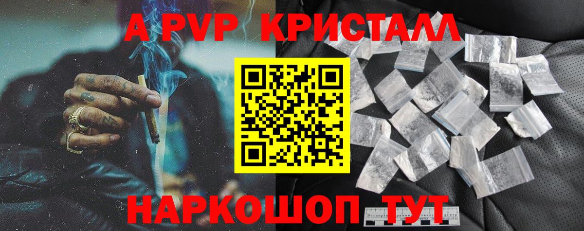 Alfa_PVP СК КРИС Майкоп