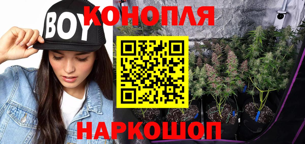 Майкоп  Шишки марихуана индика  Вход с VPN  Каннабис Bruce Banner 